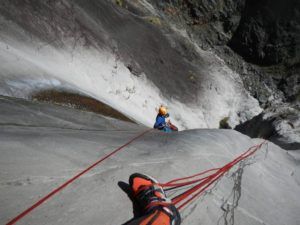 Fleurs-jaunes-cilaos-canyon-canyoning-REUNION-3