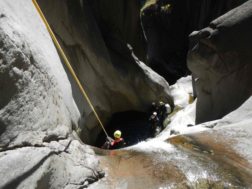 Fleurs-jaunes-cilaos-canyon-canyoning-REUNION-2