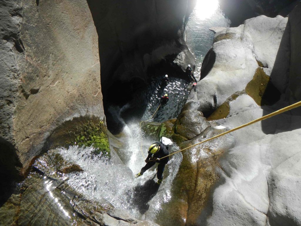 fleur-jaune-Fleurs-jaunes-cilaos-canyon-canyoning-REUNION-5