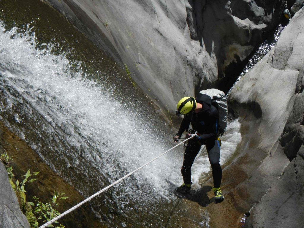 fleur-jaune-Fleurs-jaunes-cilaos-canyon-canyoning-REUNION-6