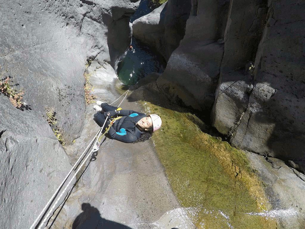 fleur-jaune-canyon-canyoning-cilaos-reunion-canyoneering-kloofing